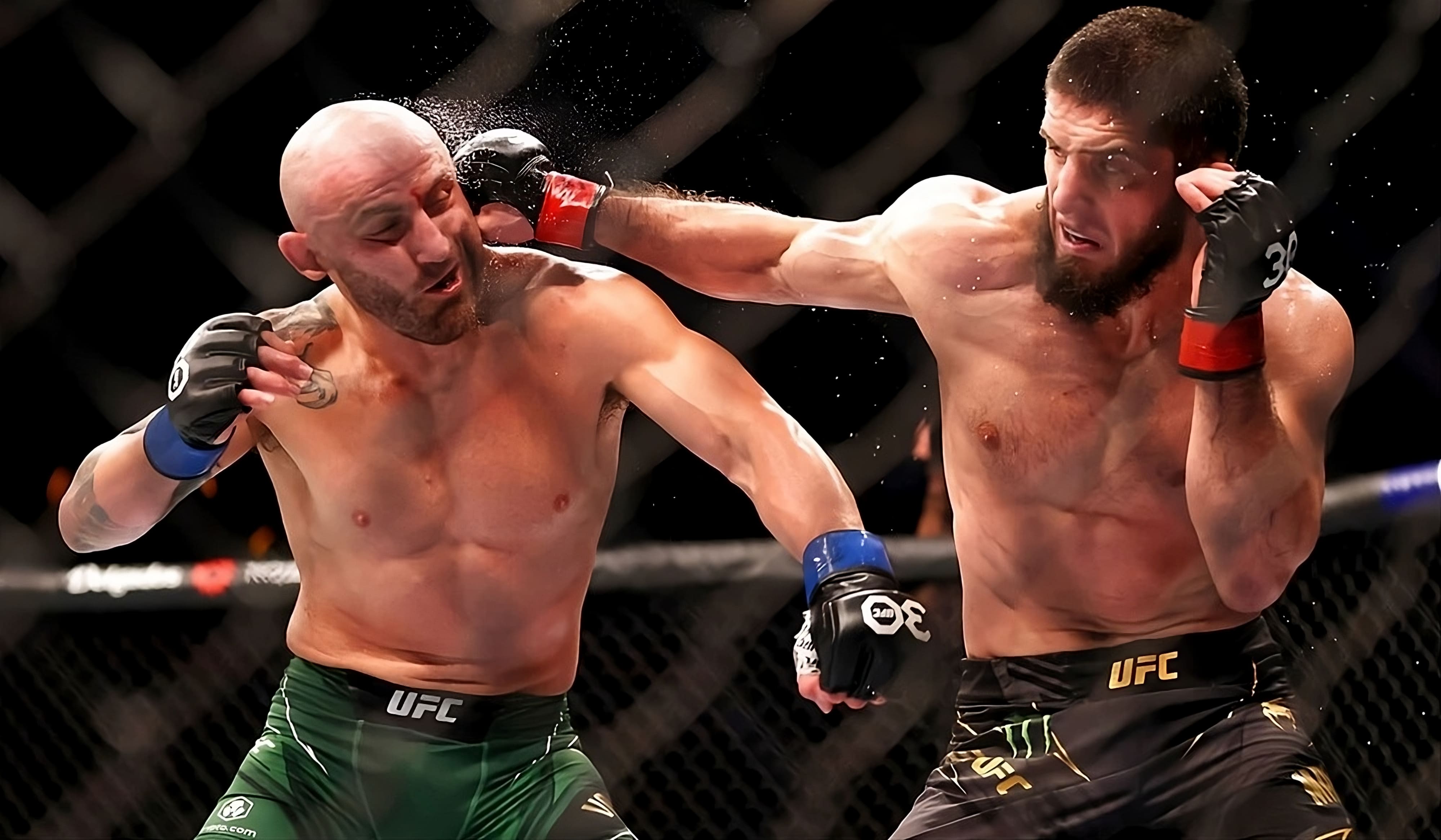 UFC Fighters